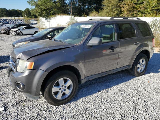 1FMCU0D76AKA88417 - 2010 FORD ESCAPE XLT GRAY photo 1