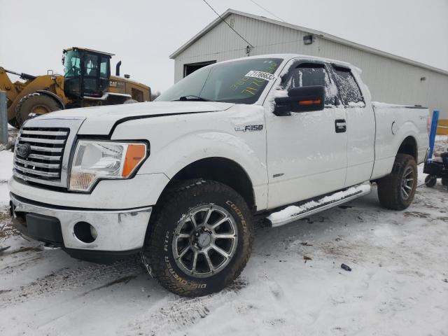 1FTFX1ET4BFB40082 - 2011 FORD F150 SUPER WHITE photo 2