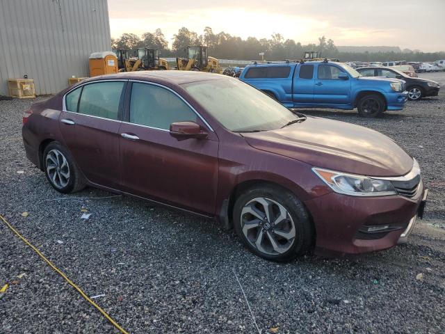 1HGCR3F83HA030652 - 2017 HONDA ACCORD EXL 勃艮第红 照片 4