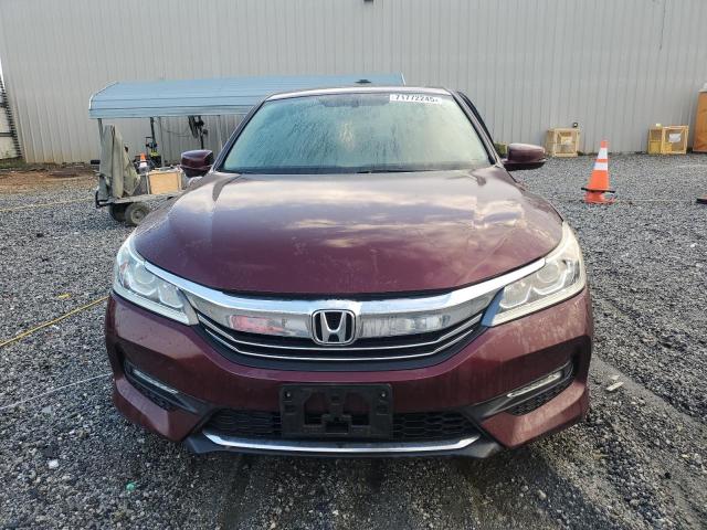 1HGCR3F83HA030652 - 2017 HONDA ACCORD EXL 勃艮第红 照片 5