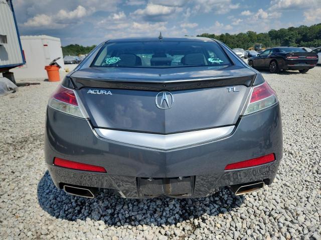 19UUA8F58AA012507 - 2010 ACURA TL GRAY photo 6