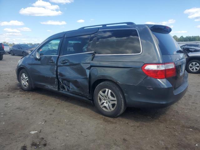 5FNRL38795B033539 - 2005 HONDA ODYSSEY EXL GRAY photo 2