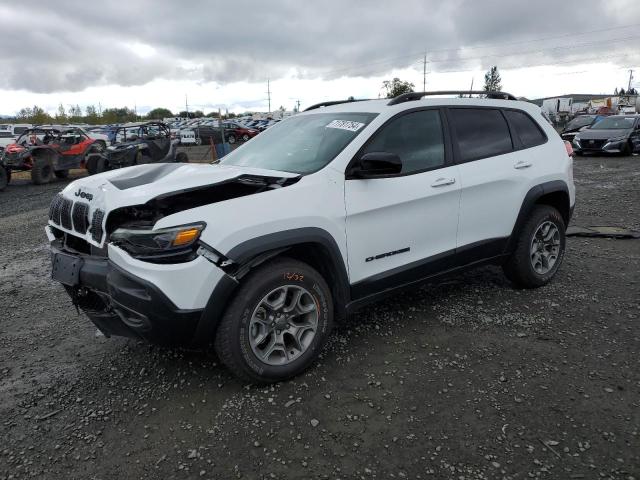 1C4PJMBN9PD105666 - 2023 JEEP CHEROKEE TRAILHAWK WHITE photo 1