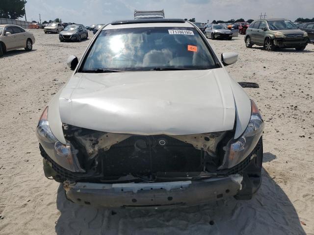 1HGCP3F88BA005131 - 2011 HONDA ACCORD EXL WHITE photo 5