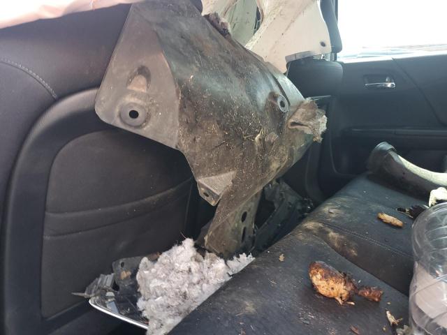 1HGCR2F59DA012490 - 2013 HONDA ACCORD SPORT WHITE photo 8