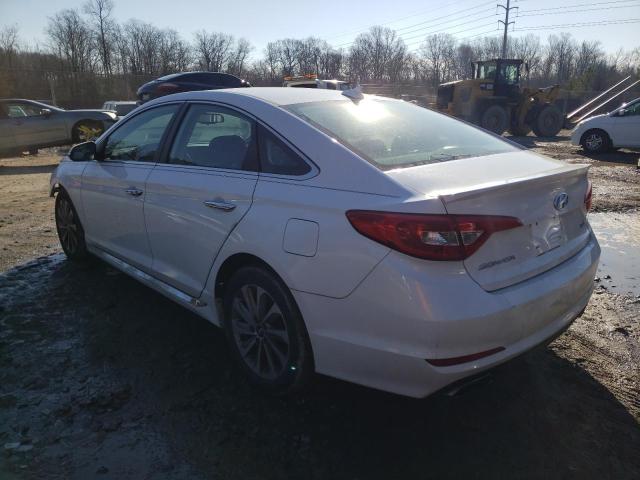 5NPE34AF8HH520226 - 2017 HYUNDAI SONATA SPORT WHITE photo 2