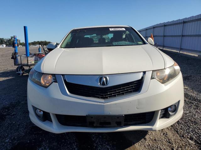 JH4CU26629C016316 - 2009 ACURA TSX WHITE photo 5