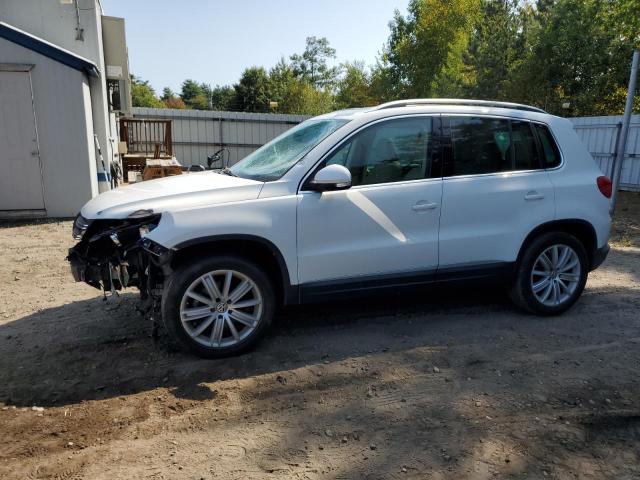 2013 VOLKSWAGEN TIGUAN S, 