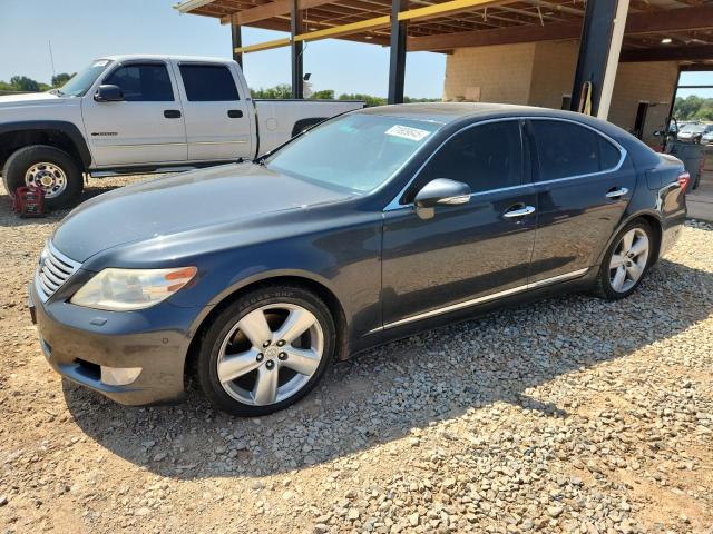 2010 LEXUS LS 460, 