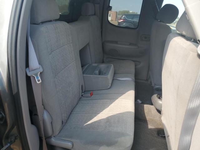 5TBRT341X3S370403 - 2003 TOYOTA TUNDRA ACCESS CAB SR5 GRAY photo 10