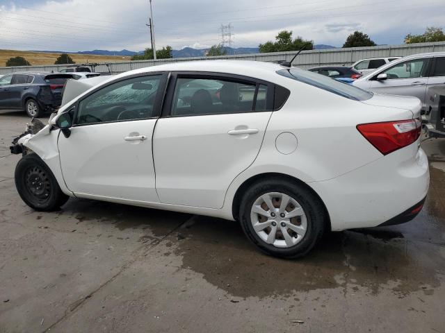 KNADM4A38D6265318 - 2013 KIA RIO LX WHITE photo 2