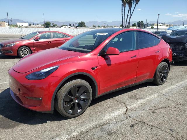 2023 TESLA MODEL Y, 