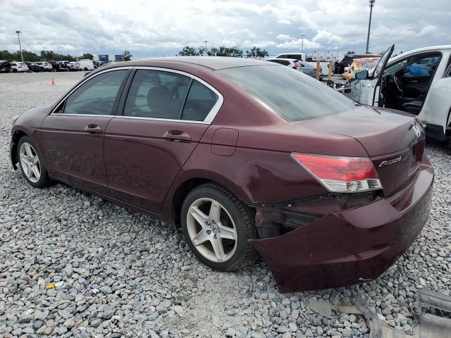 JHMCP26428C016434 - 2008 HONDA ACCORD LXP BURGUNDY photo 2