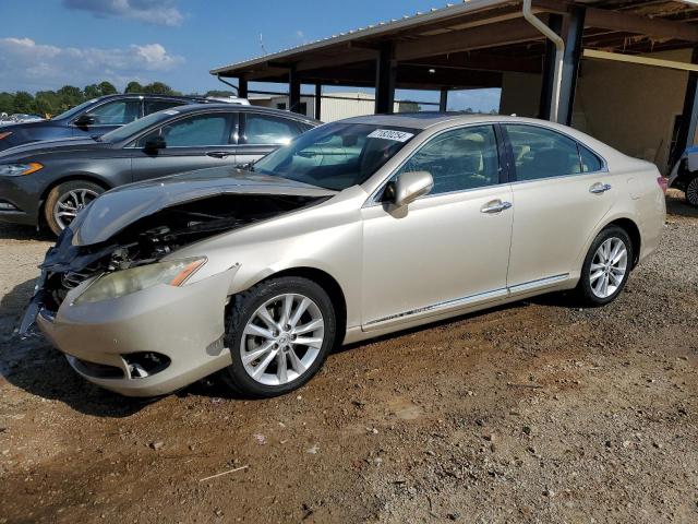 2010 LEXUS ES 350, 