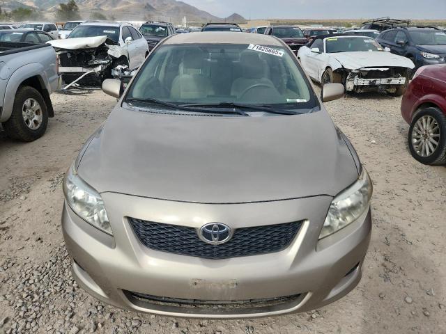 1NXBU40E49Z028370 - 2009 TOYOTA COROLLA BASE Բեժ լուսանկար 5