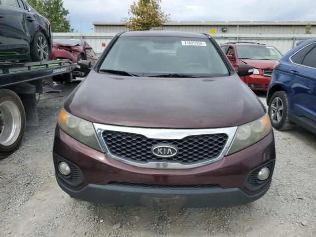 5XYKU4A2XBG009550 - 2011 KIA SORENTO EX PURPLE photo 5