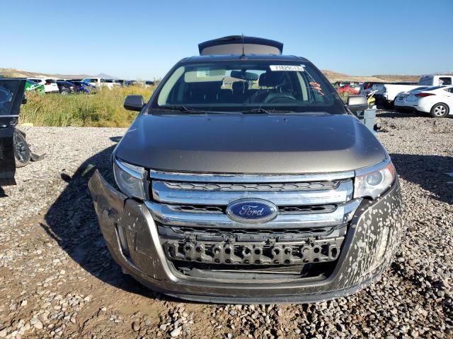 2FMDK3JC6DBE34638 - 2013 FORD EDGE SEL GOLD photo 5