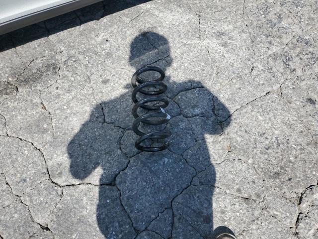 7SAYGDEE2RA261302 - 2024 TESLA MODEL Y 白色 照片 12