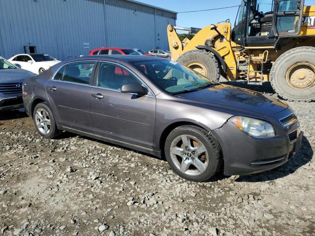 1G1ZC5EB8A4157767 - 2010 CHEVROLET MALIBU 1LT BROWN photo 4