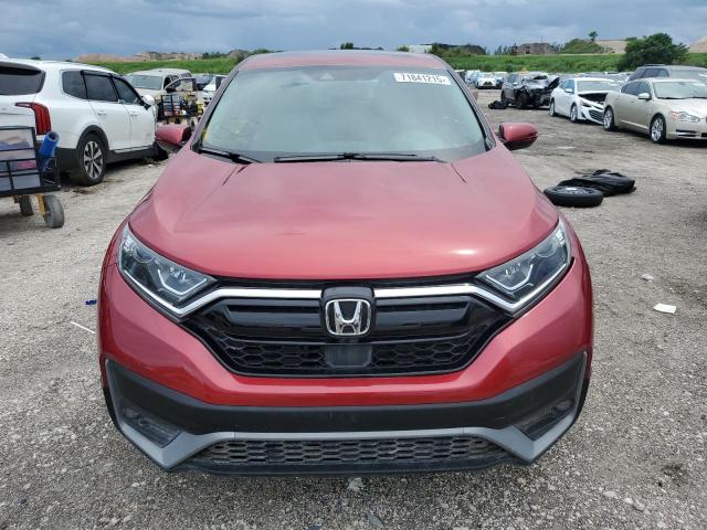 5J6RW1H81NA019836 - 2022 HONDA CR-V EXL Կարմիր լուսանկար 5