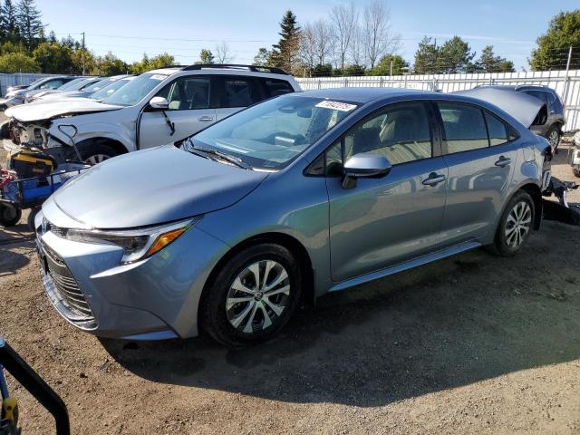 2025 TOYOTA COROLLA LE, 