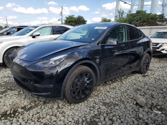 2023 TESLA MODEL Y, 