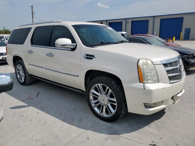 1GYUKKEF0AR269417 - 2010 CADILLAC ESCALADE ESV PLATINUM Ağ foto 4
