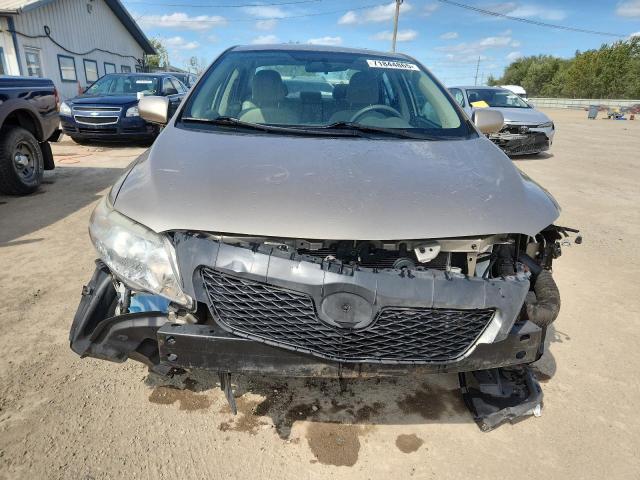 1NXBU4EE7AZ195738 - 2010 TOYOTA COROLLA BASE Qızıl foto 5