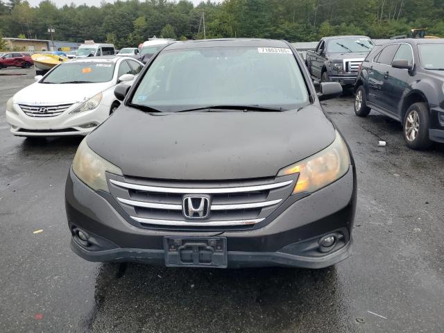 5J6RM4H55DL008340 - 2013 HONDA CR-V EX ყავისფერი ფოტო 5