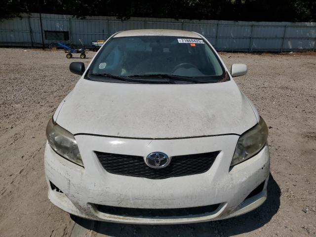 1NXBU4EE0AZ211052 - 2010 TOYOTA COROLLA BASE WHITE photo 5