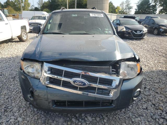 1FMCU9DG5CKA61989 - 2012 FORD ESCAPE XLT BLUE photo 5