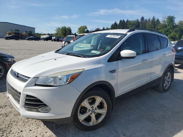 2014 FORD ESCAPE SE, 