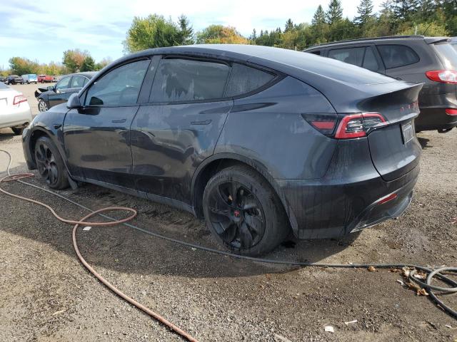 7SAYGDEE3RF991576 - 2024 TESLA MODEL Y Szary zdjęcie 2