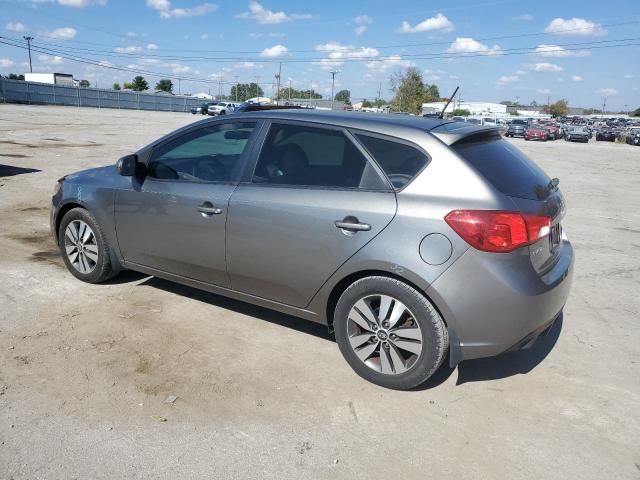 KNAFU5A23D5656016 - 2013 KIA FORTE EX GRAY photo 2