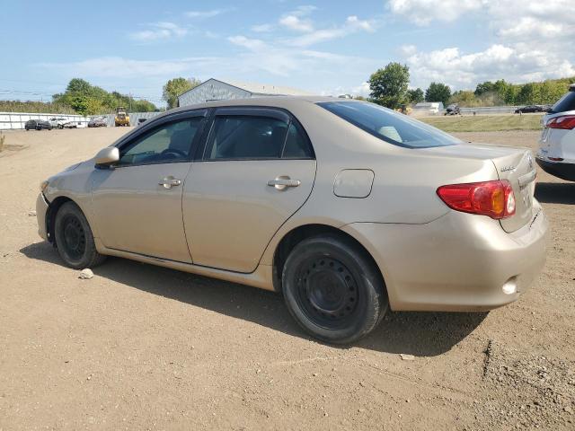 2T1BU40E69C061405 - 2009 TOYOTA COROLLA BASE GOLD photo 2