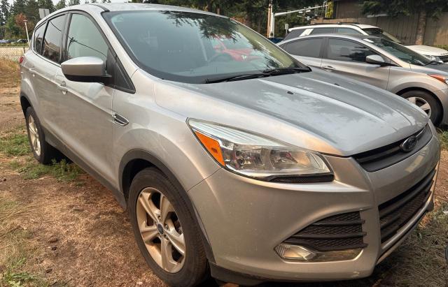 2014 FORD ESCAPE SE, 