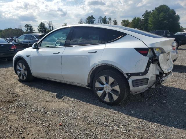 7SAYGDEE1NF441125 - 2022 TESLA MODEL Y WHITE photo 2