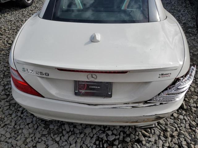 WDDPK4HA0DF065971 - 2013 MERCEDES-BENZ SLK 250 WHITE photo 10