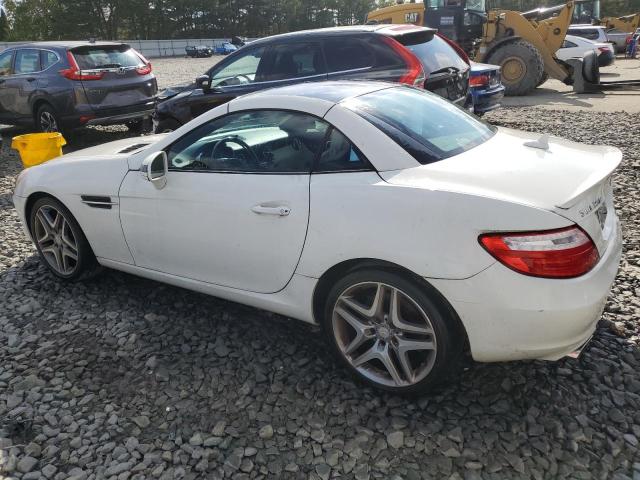 WDDPK4HA0DF065971 - 2013 MERCEDES-BENZ SLK 250 WHITE photo 2