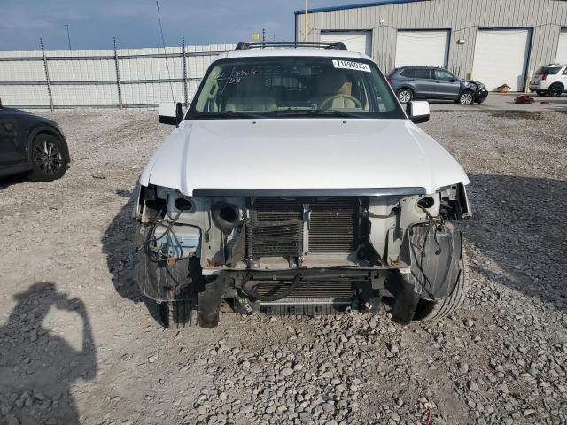 1FMEU74EX6UB40918 - 2006 FORD EXPLORER EDDIE BAUER თეთრი ფოტო 5