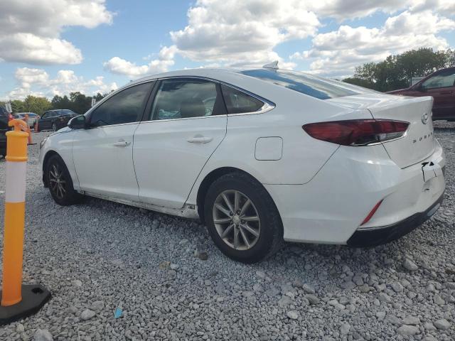 5NPE24AF6KH791599 - 2019 HYUNDAI SONATA SE 白色 照片 2