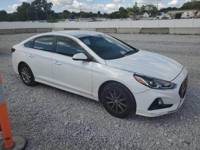 5NPE24AF6KH791599 - 2019 HYUNDAI SONATA SE 白色 照片 4