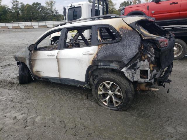 1C4PJMBB7HW615090 - 2017 JEEP CHEROKEE TRAILHAWK WHITE photo 2