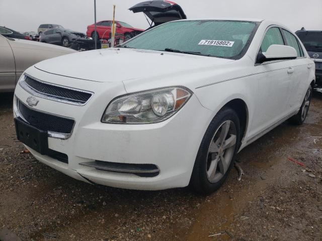 1G1ZC5EU8BF146601 - 2011 CHEVROLET MALIBU 1LT თეთრი ფოტო 1