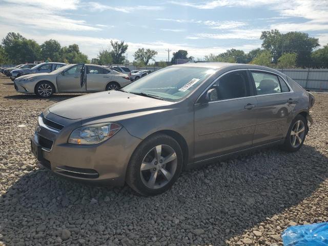 2011 CHEVROLET MALIBU 1LT, 