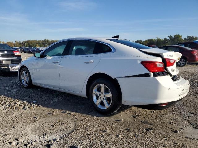 1G1ZB5ST5LF151304 - 2020 CHEVROLET MALIBU LS WHITE photo 2