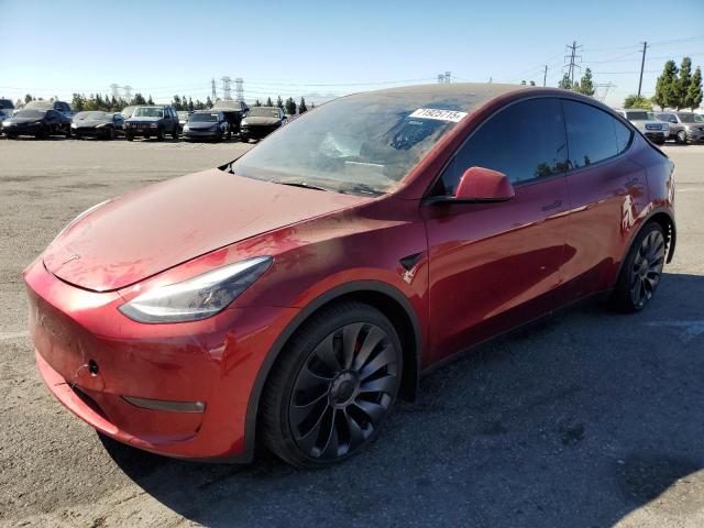 2024 TESLA MODEL Y, 