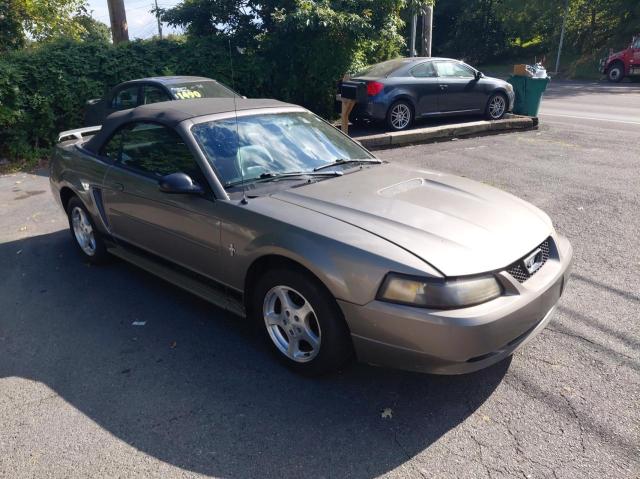 2002 FORD MUSTANG, null