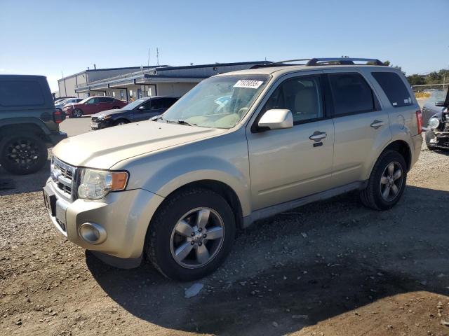 2011 FORD ESCAPE LIMITED, 