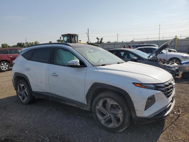 KM8JFCA18NU011822 - 2022 HYUNDAI TUCSON SEL CONVENIENCE WHITE photo 4